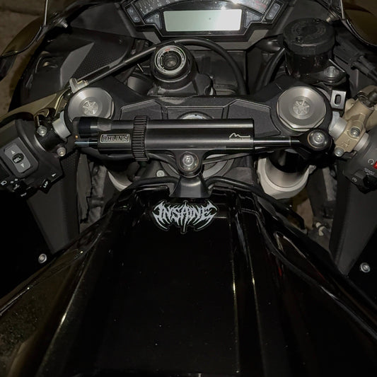 White INSANE Die-Cut Vinyl Sticker 2.5” x 2